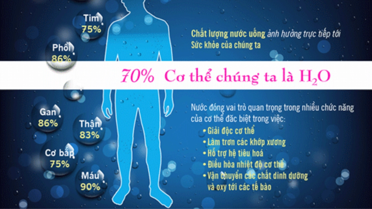 SOF 2025 01757 hinh anh thumnail danh muc bai viet goc bao chi 2 37