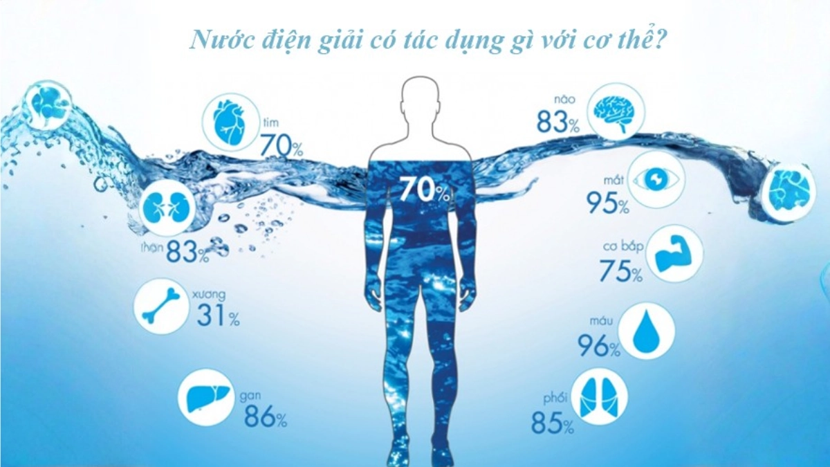 SOF 2025 01757 hinh anh thumnail danh muc bai viet goc bao chi 2 5